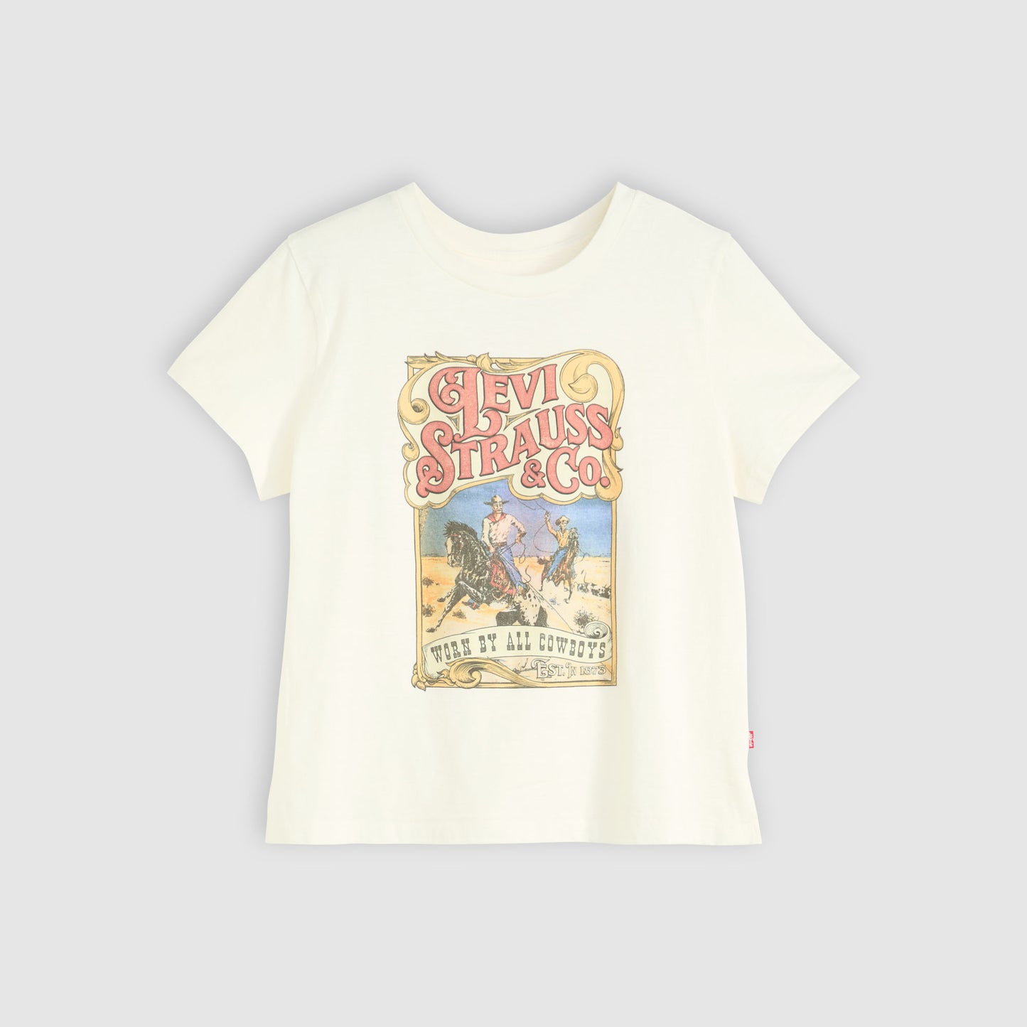 Levi's® Women's Graphic Boxy T-Shirt