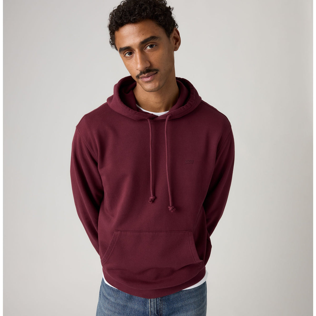 Levi's® Men's New Original Housemark Hoodie